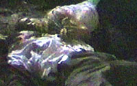 04Ep008F: J&J, together, unconscious in the jungle